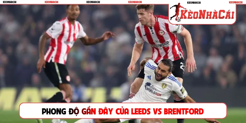 Phong độ gần đây của Leeds vs Brentford