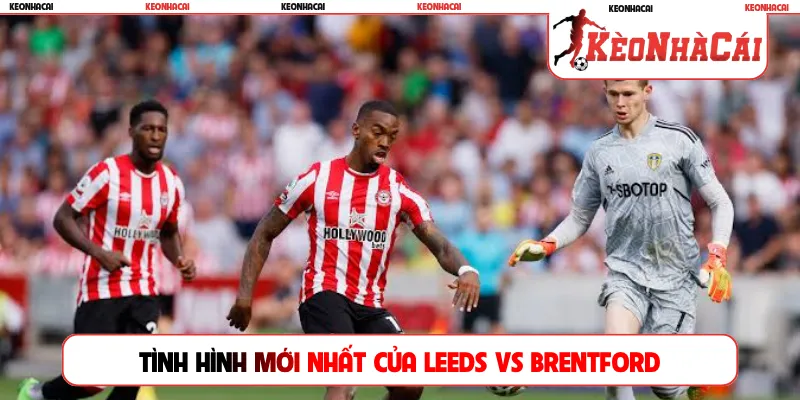 Tình hình mới nhất của Leeds vs Brentford