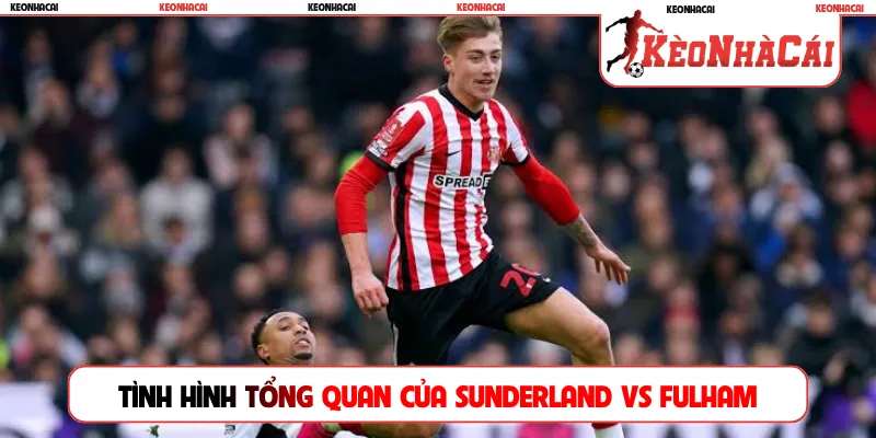 Tình hình tổng quan của Sunderland vs Fulham hiện tại